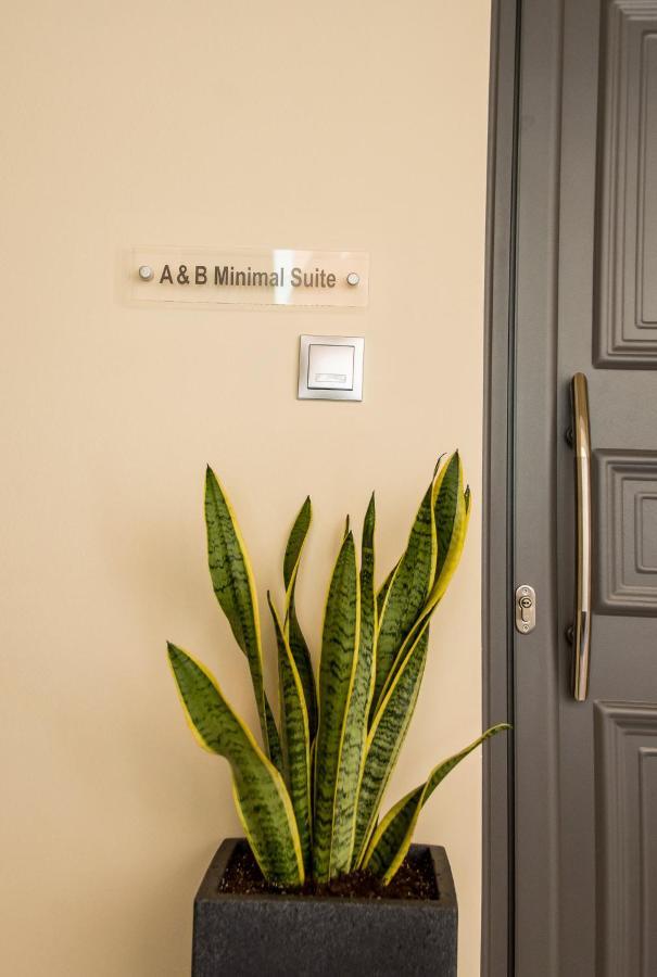 A & B Minimal Suite Ιι With Sea View In Argostoli Exteriör bild